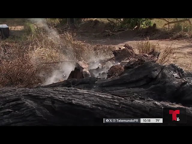 Bomberos controlan fuego en La Parguera