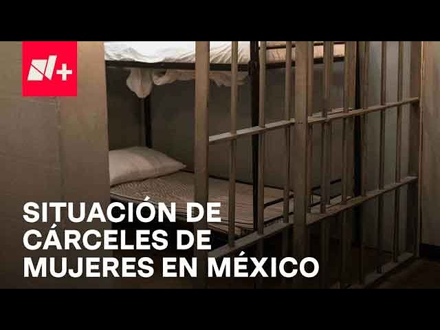 ¿Cuántas mujeres hay en cárceles de México? - Despierta