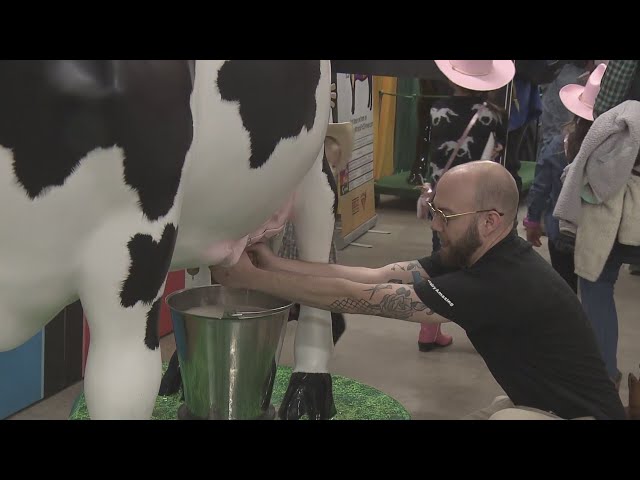 Lots to do at the National Western Stock Show