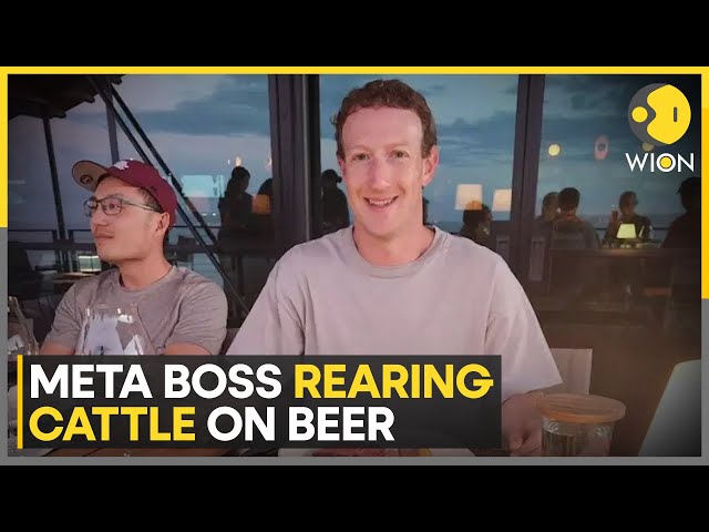 Meta boss Mark Zuckerberg wants to create top quality beef | WION