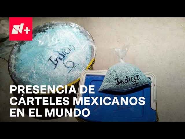 Narcotráfico en México: ¿En qué partes del mundo tiene presencia? - Despierta