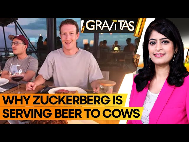 Gravitas: Zuckerberg plans to feed beer to cows to produce 'high-quality' beef, critics hi