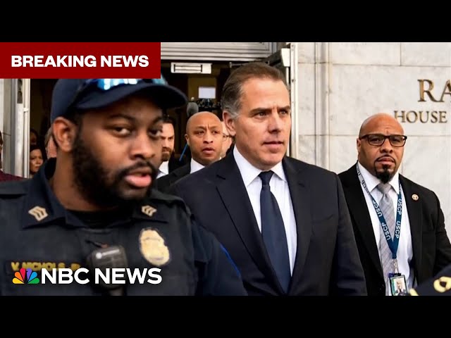 BREAKING: Hunter Biden pleads not guilty to criminal tax charges