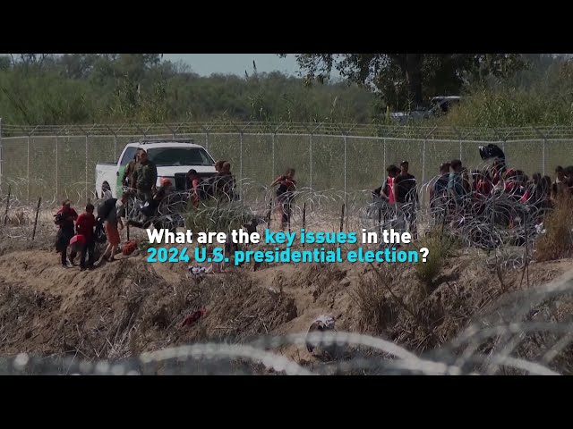 What are the key issues in the 2024 U.S. presidential election?