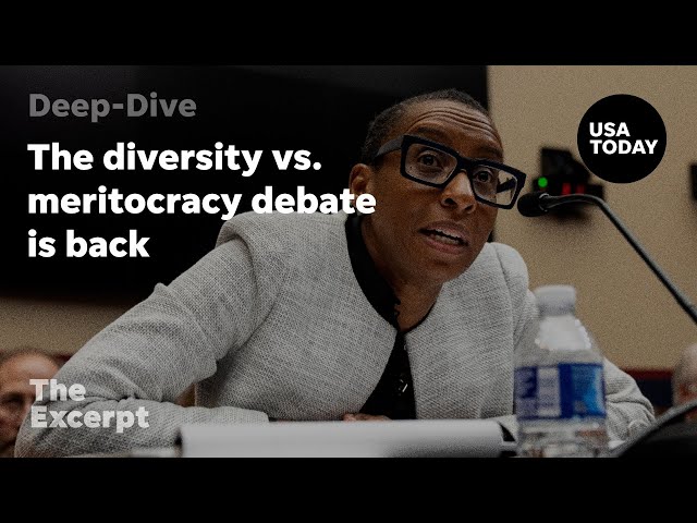 The diversity vs. meritocracy debate is back in the spotlight