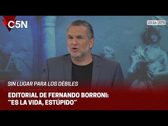 EDITORIAL de FERNANDO BORRONI en SIN LUGAR PARA LOS DÉBILES: ¨ES LA VIDA, ESTÚPIDO¨