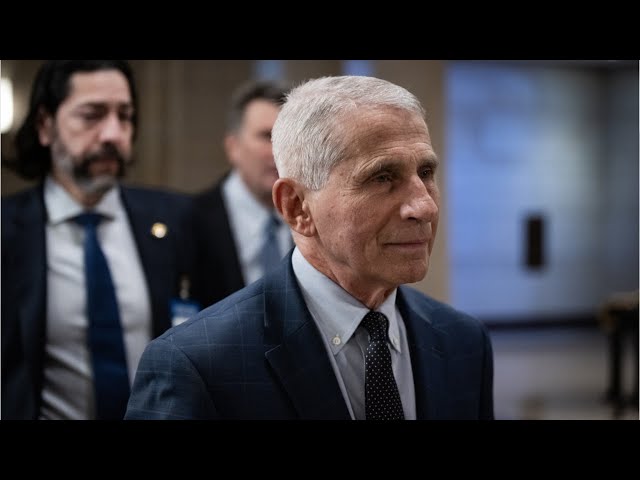 ‘Sort of just appeared’: Fauci admits COVID response not based on science