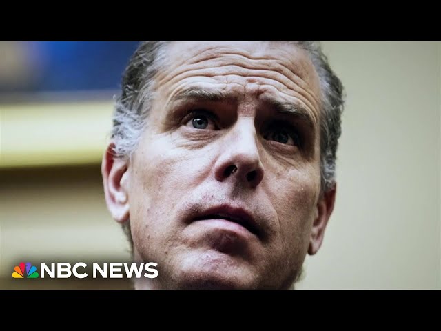 Hunter Biden pleads not guilty in federal court