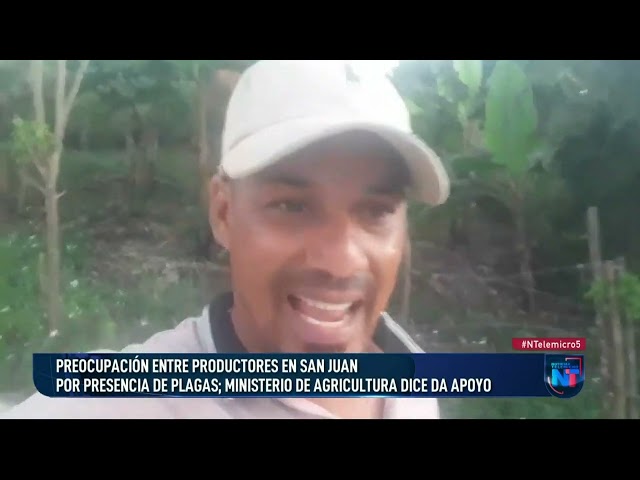 Preocupación entre productores de San Juan por presencia de plagas; Agriculturadará apoyo