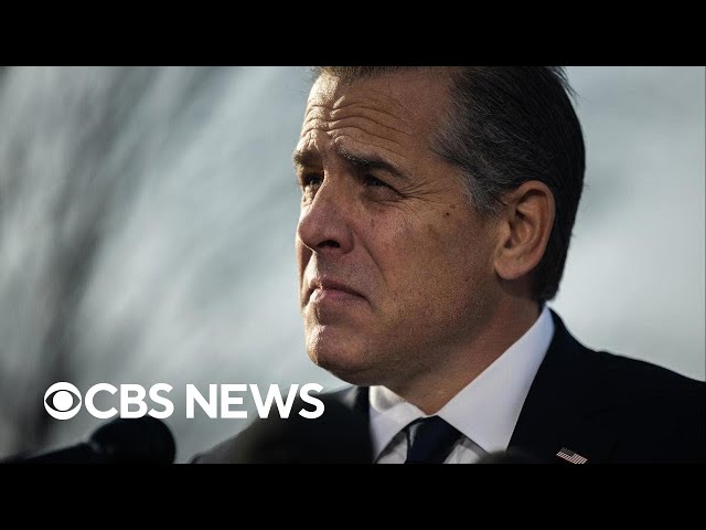 Breaking down Hunter Biden's arraignment on federal tax charges