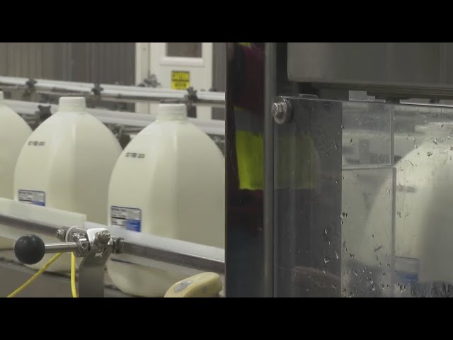 How 80K gallons of milk make it from farm to table