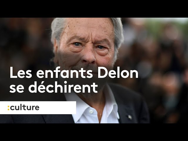 Les enfants d'Alain Delon se déchirent sur la situation de leur père