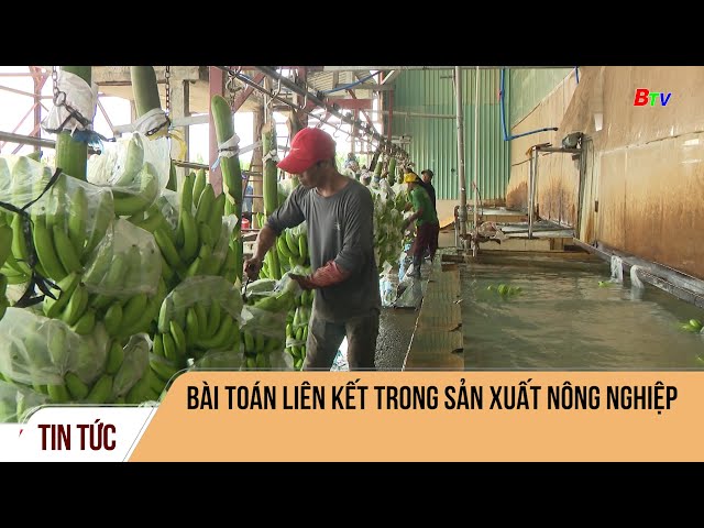 Bài toán liên kết trong sản xuất nông nghiệp