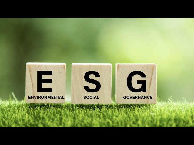 Corporates ‘weaponised’ for ‘bigger global push’ for ESG: Alex Antic