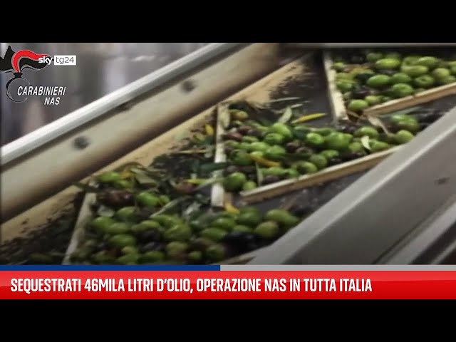 Sequestrati 46mila litri d’olio, operazione Nas in Italia