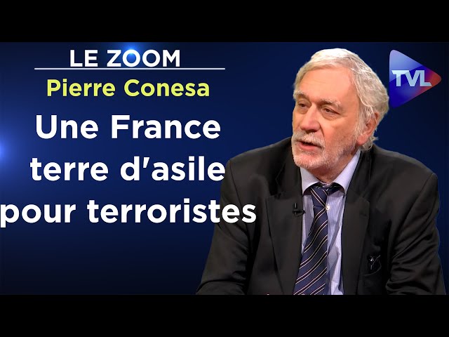 Salafisme : du séparatisme au terrorisme - Le Zoom - Pierre Conesa - TVL