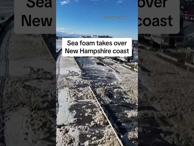 Sea foam takes over New Hampshire coast #shorts