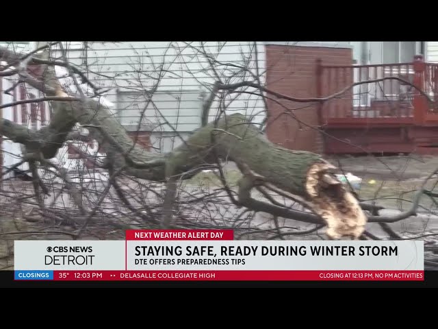 DTE Energy "prepared as possible" for Michigan winter storm