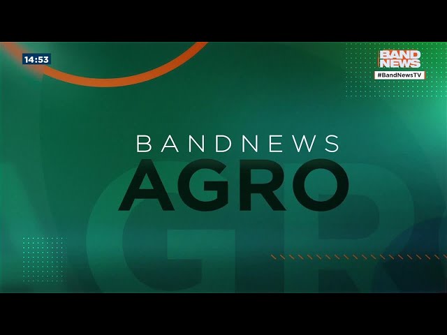 Samanta Pineda - Debate sobre políticas de apoio aos produtores de soja | BandNews TV