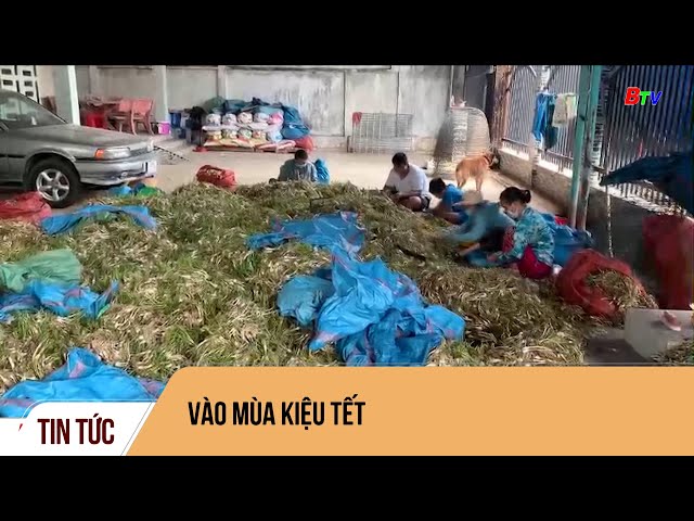 Vào mùa kiệu Tết