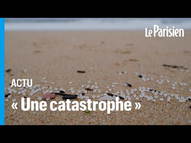 Espagne : une marée de micro-billes en plastique sur les plages du nord-ouest