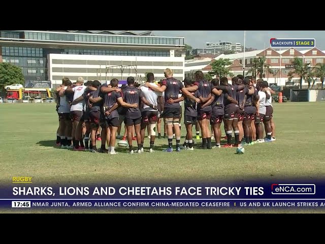 SA Rugby teams back in action for year 2024