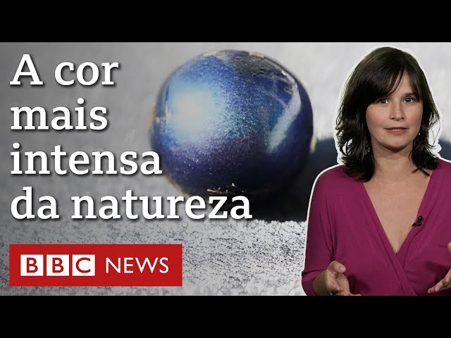 O 'truque' da natureza para criar cores intensas e incríveis