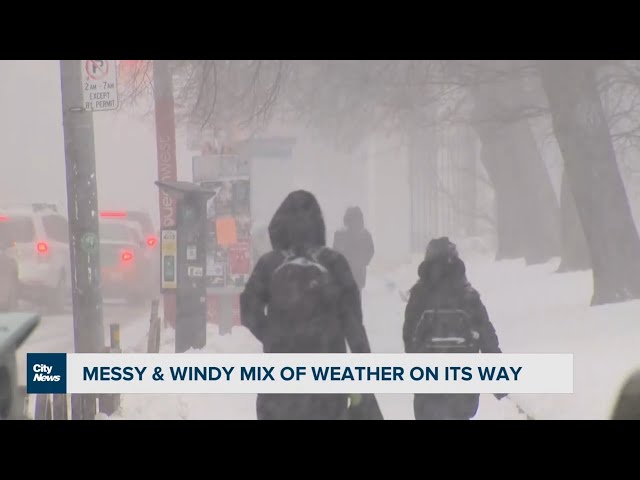 A second winter storm this week, brings messy mix to the GTA tonight