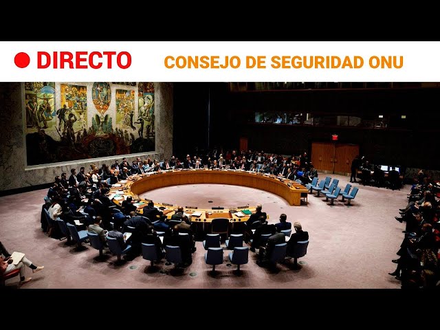 ONU   CONSEJO DE SEGURIDAD sobre la situación en ORIENTE MEDIO, incluida la cuestión PALESTINA