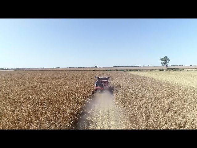 Farmers weigh concerns ahead of the Iowa caucus