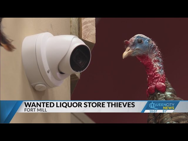 SC liquor store seeks woman stealing bottles under dress