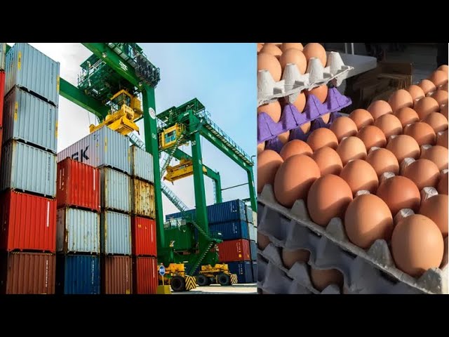 Cuba compró más de un millón de dólares en huevos a EEUU en noviembre