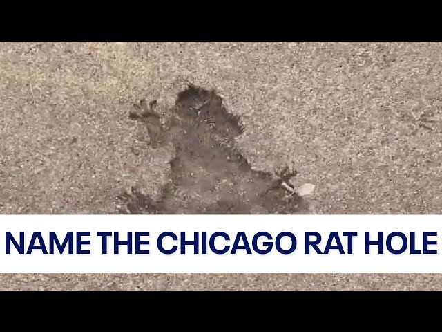 It's time to make it an official attraction: Name the Chicago Rat Hole!