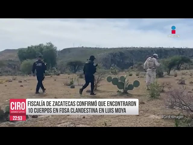 Localizan 10 cuerpos en fosa clandestina en Zacatecas | Ciro Gómez Leyva