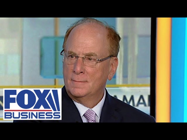 BlackRock CEO Larry Fink: The economy is in a very good position