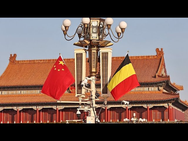 Expert: China, Belgium should strengthen institutional coordination