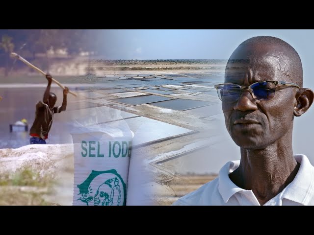 La filière du SEL, une alternative à l'émigration clandestine si l'Etat du Sénégal...: &qu