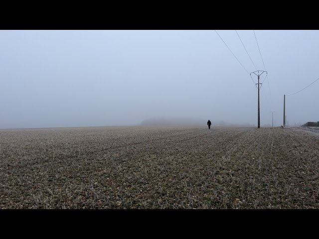 Vague de froid : une période essentielle pour les agriculteurs