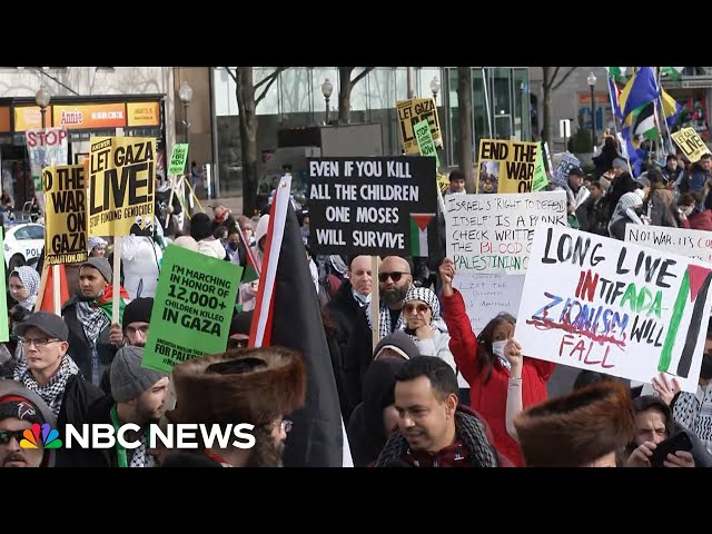 Thousands gather in Washington, D.C. in support of Gaza