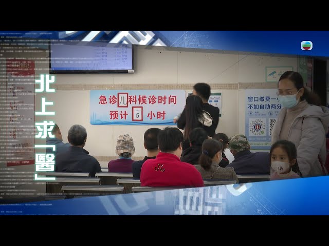 TVB 新聞透視｜北上求「醫」 (繁／簡字幕)｜ 無線新聞 TVB News