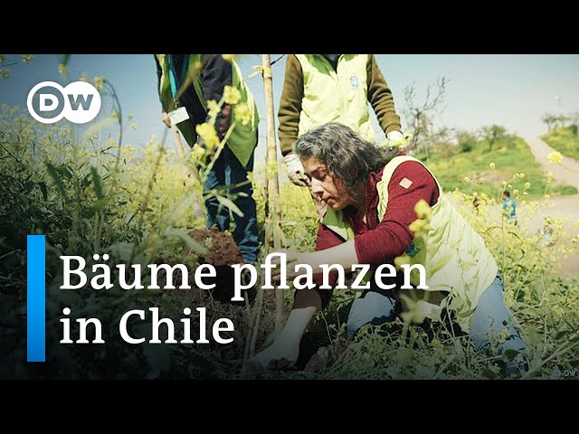 ⁣Wie sich Santiago de Chile gegen den Klimawandels wehrt | Global Us