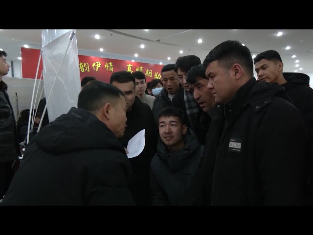 Job fair held in Ili, Xinjiang, to offer over 2,000 job opportunities for locals