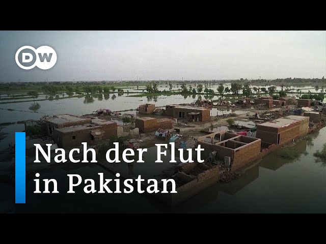 Folgen der Flut: Neuanfang in Pakistan | DW Reporter