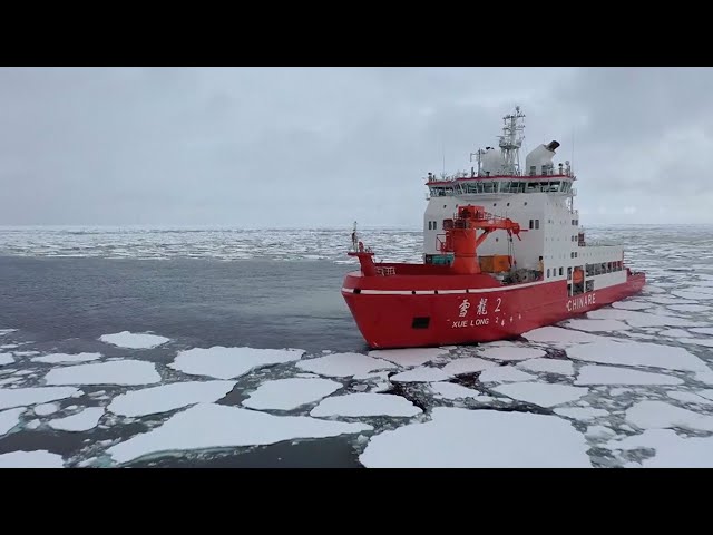 China's 40th Antarctic expedition team samples seawater for scientific research