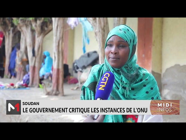 Soudan : Le gouvernement critique les instances de l´ONU