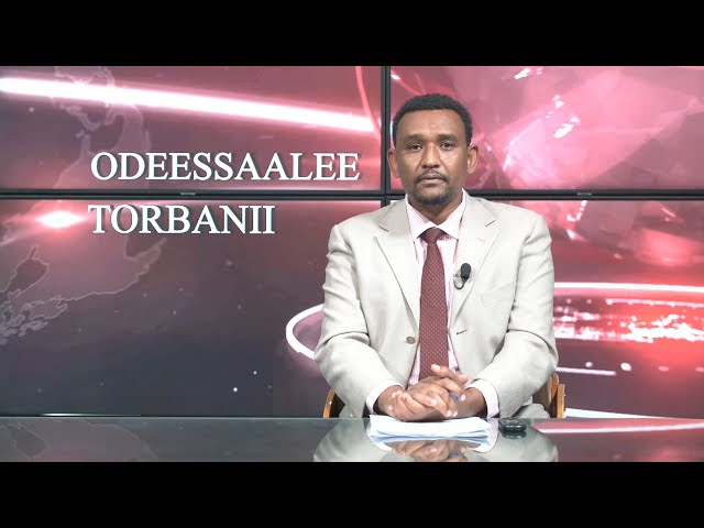 Ethiopia - Oddeesaalee torbanii Jan 14 2024