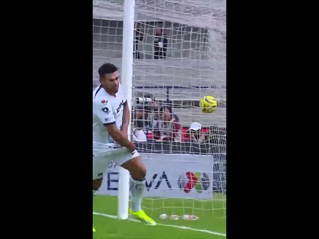 ¡GOLALAZO!  Salvio la prende y la manda a guardar #shorts