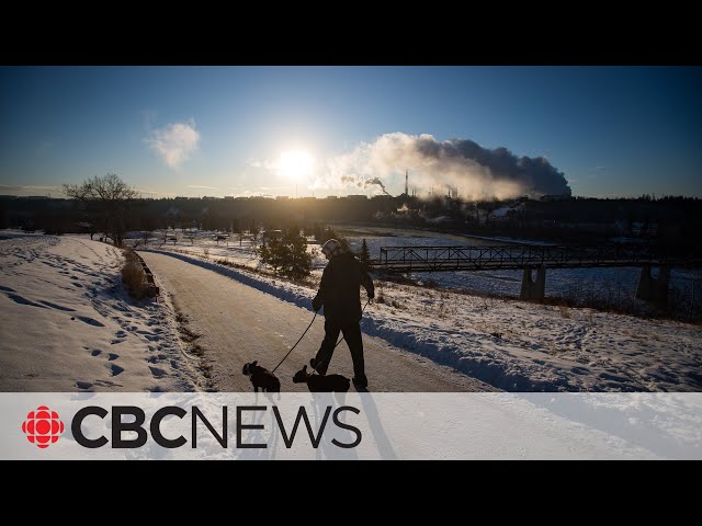 Edmonton's extreme cold strains Alberta's energy grid, triggers emergency alert