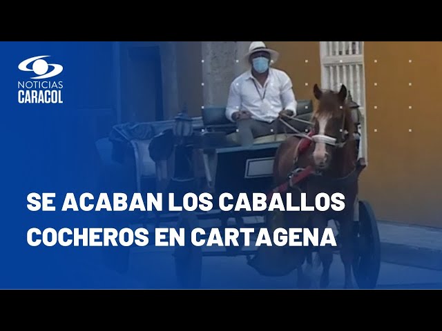 En Cartagena firman acuerdo para reemplazar a los caballos cocheros por coches eléctricos