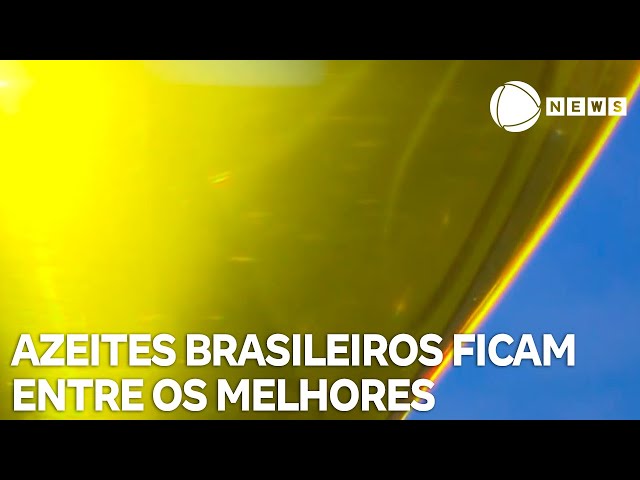 Azeites brasileiros ficam entre os melhores do mundo